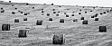 Tramatza (Oristano) - (40D_7088_1 infrared)